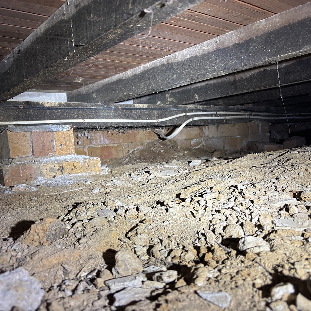 Key Residential Pest Control Essentials in Central Coast NSW