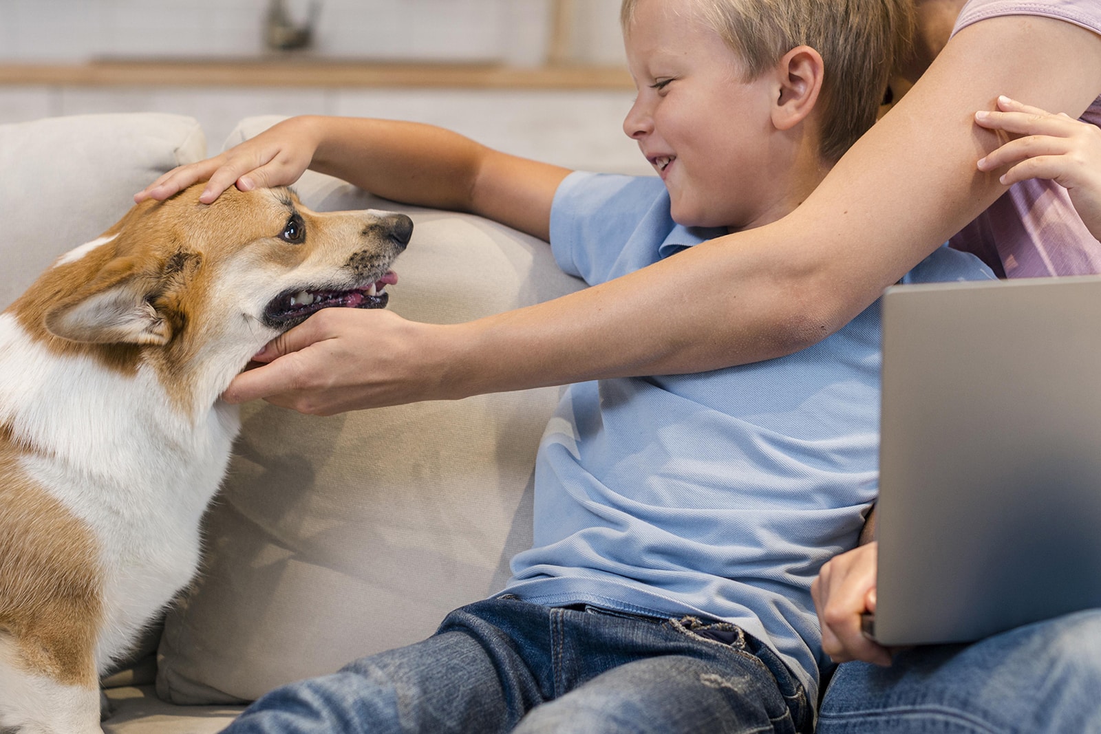 How to Get Rid of Fleas on Pets in Central Coast NSW