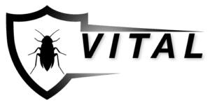 Ant Control in The Entrance North