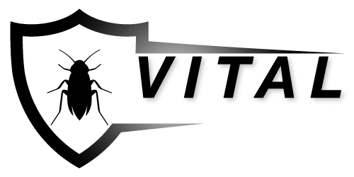 Ant Control in The Entrance North