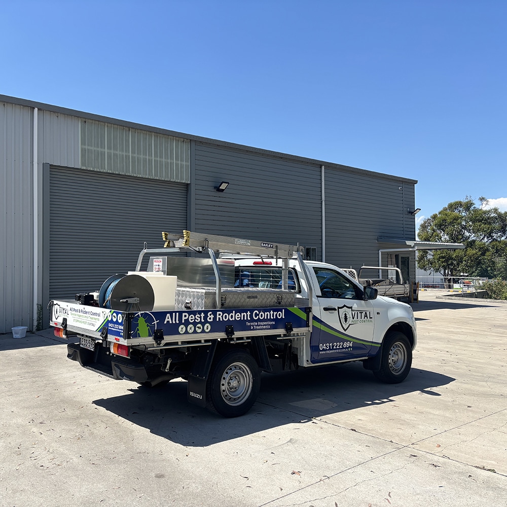 Pest Management Planning for Businesses in Central Coast NSW