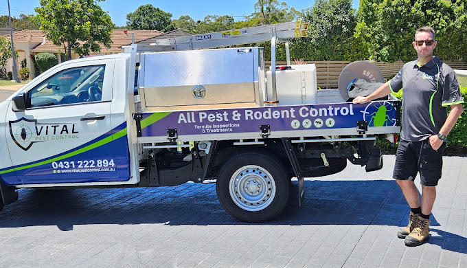 Why Choose Vital Pest Control in Central Coast NSW