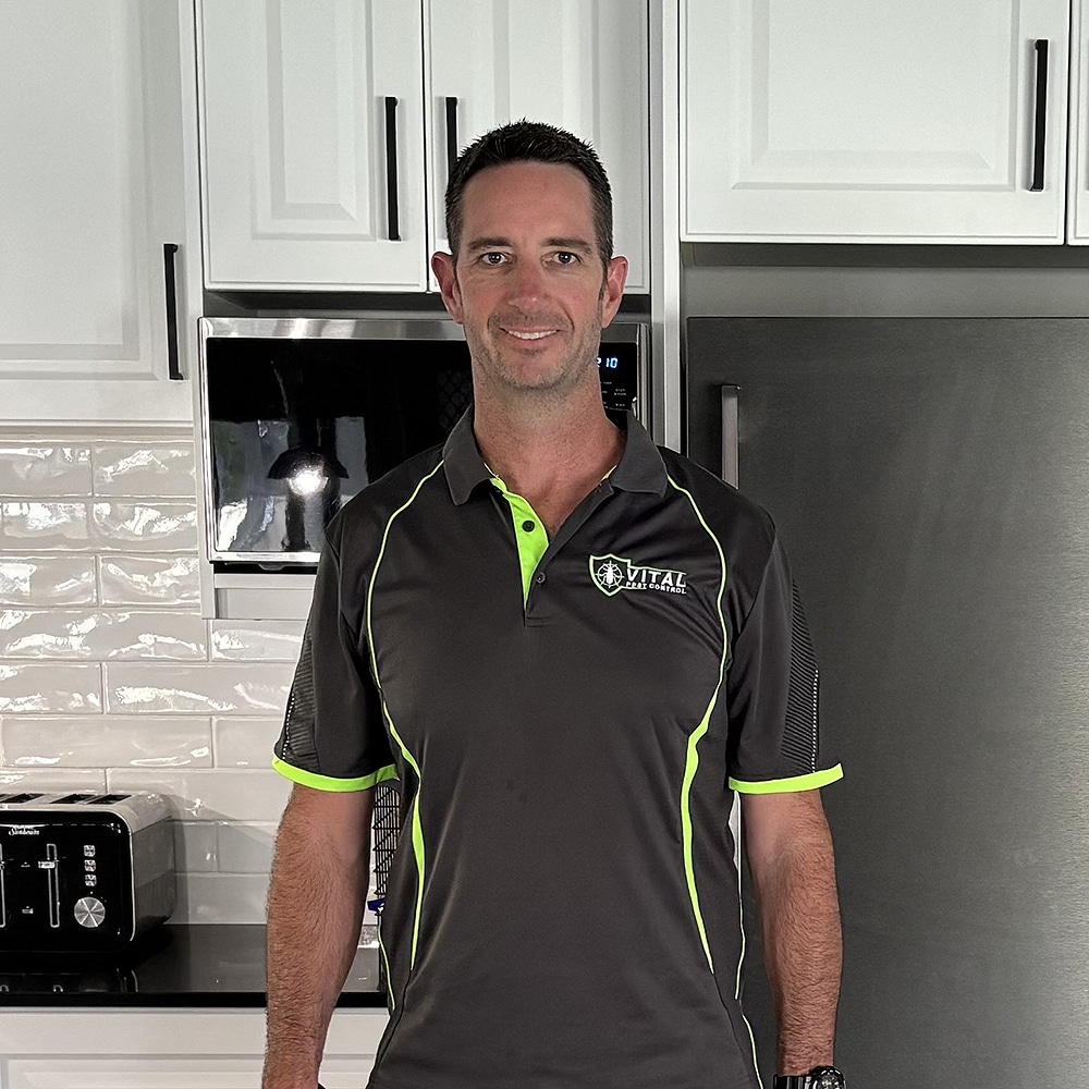 Building a Long Term Residential Pest Protection Plan in Central Coast NSW