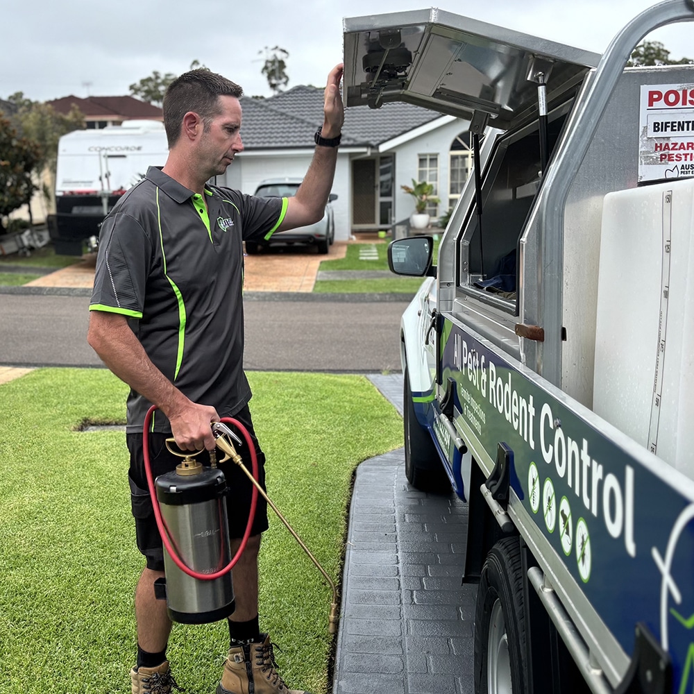 Long Term Termite Management Systems in Central Coast NSW